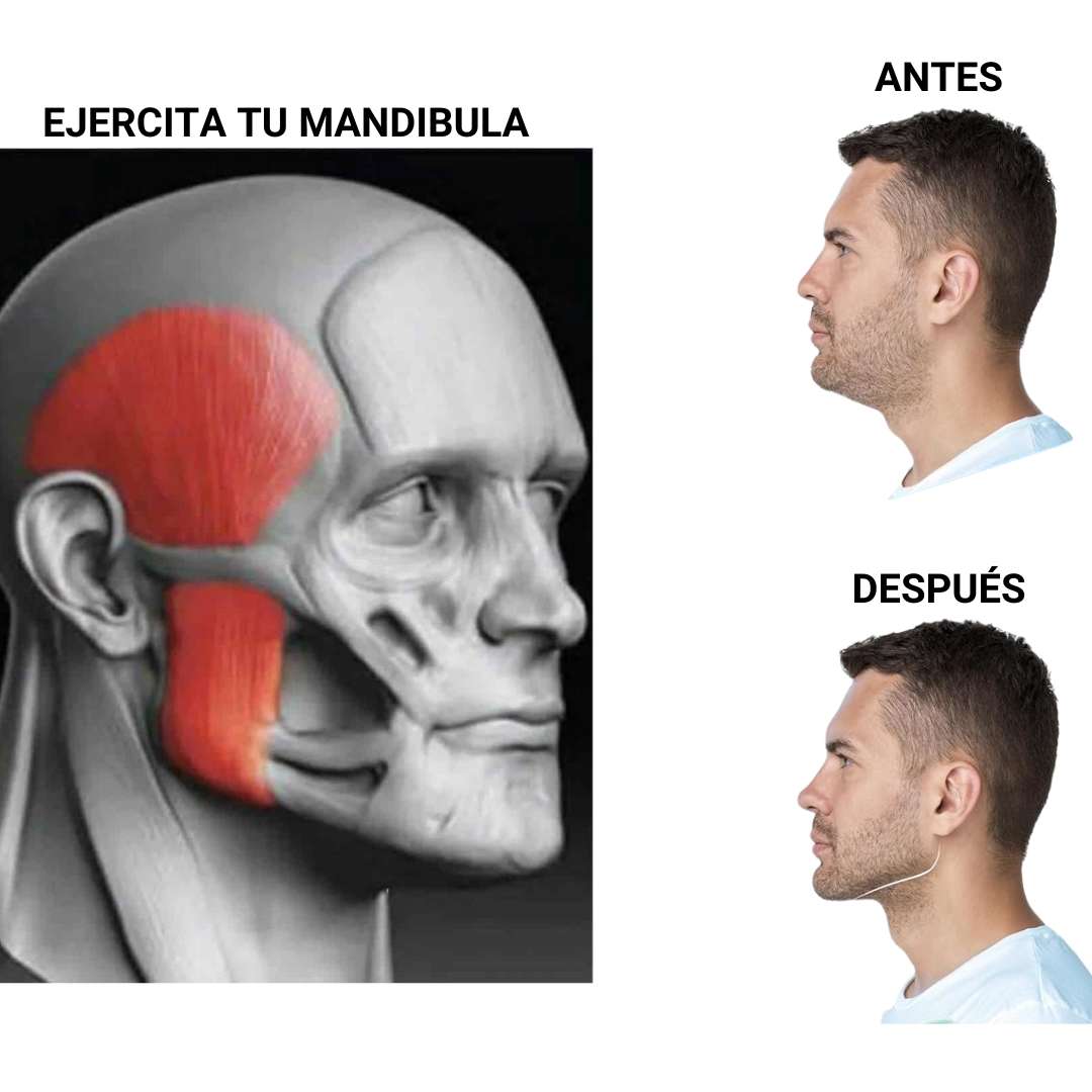 EJERCITADOR DE MANDIBULA X 2 PARES (4unid)